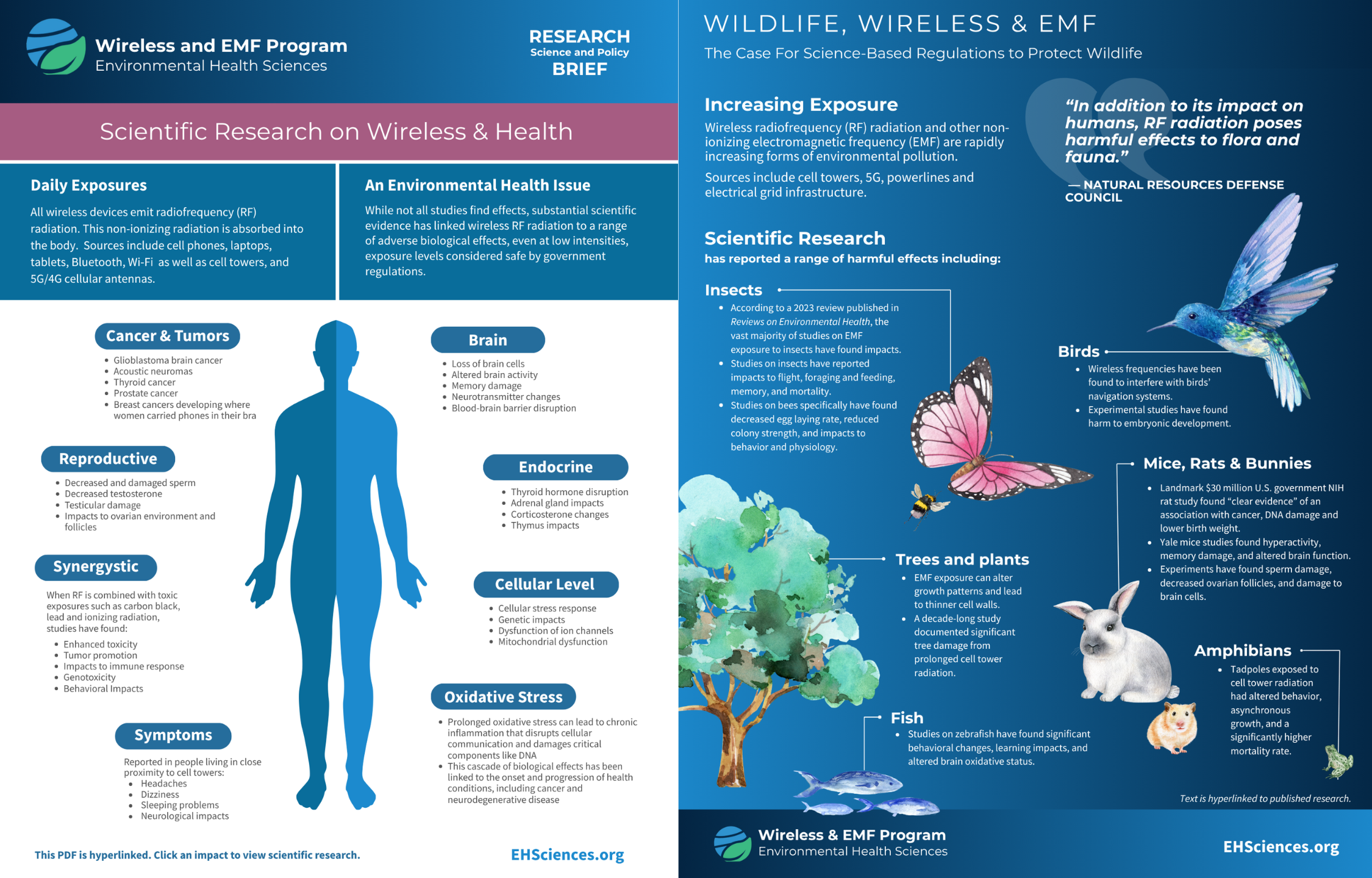 EHS Wireless Health and Science Resources