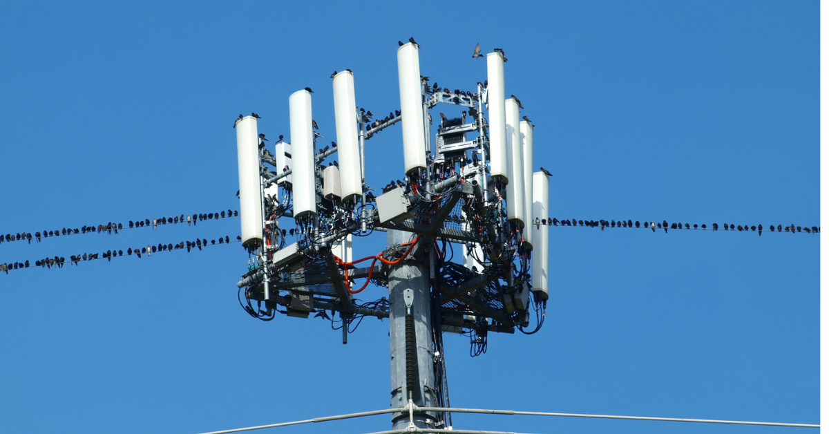 Cell Towers at Schools: A Parent Guide to Safety, and Transparency